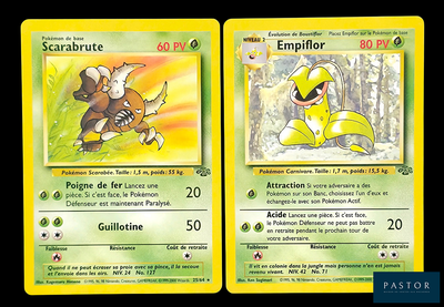 deux cartes Pokémon représentant un écureuil et un écureuil