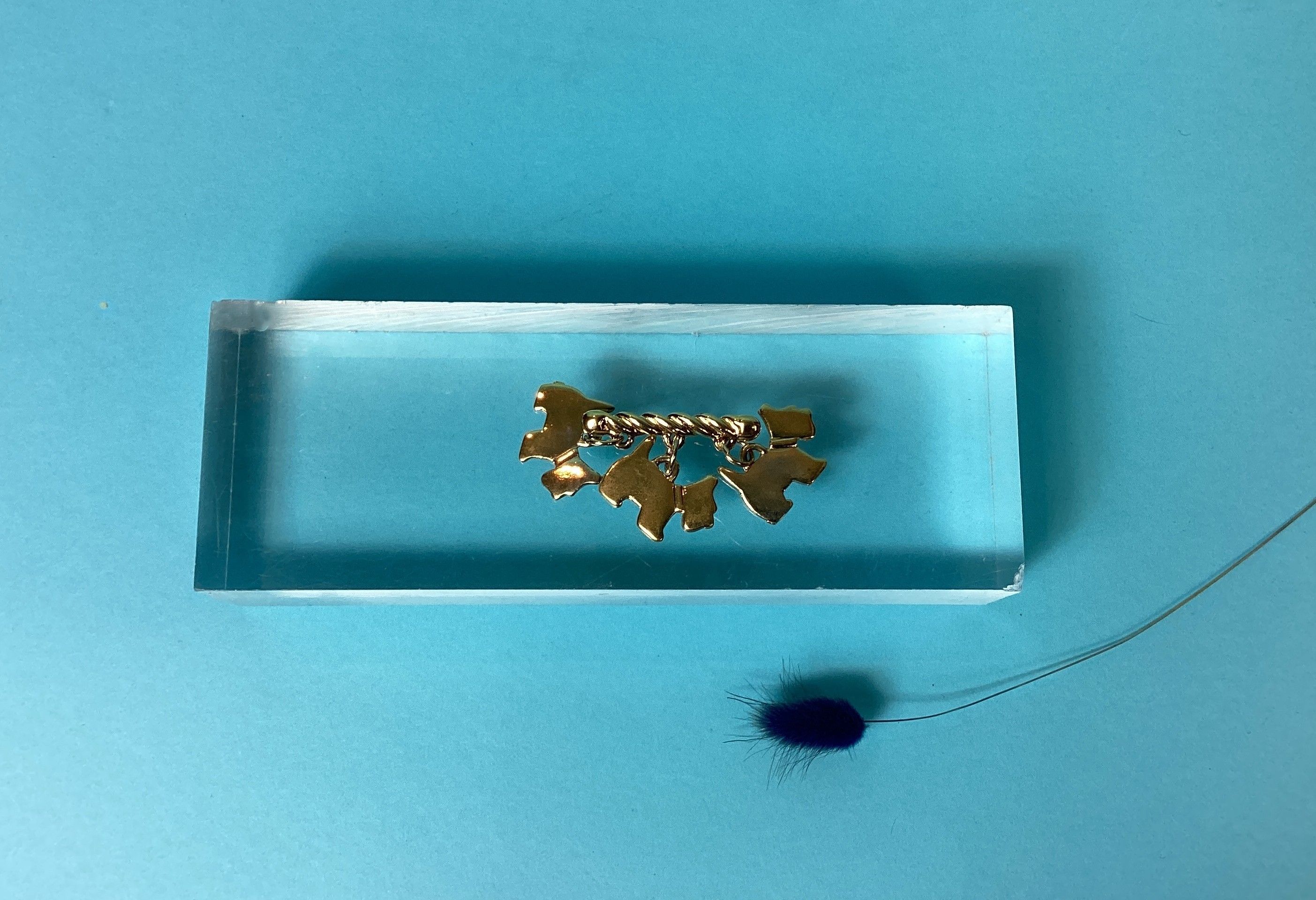 Objets d'art & Curiosités