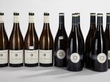 six bouteilles de vin sont alignées sur une surface blanche
