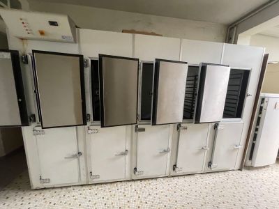 Plusieurs réfrigérateurs et congélateurs sont alignés dans une pièce