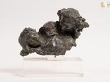 statue of a dog and a cat on a marble base