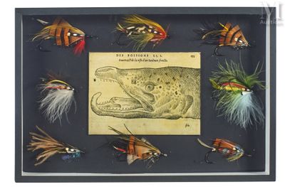 une photo d'une collection de mouches de pêche à la mouche présentée dans un cadre vitré