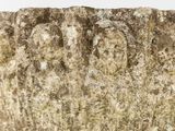 a close up of a stone vase with carvings on it