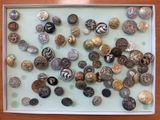 une photo d'une photo d'un présentoir de boutons