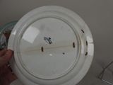 a person holding a white plate with brown bugs on it