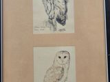 two drawings of an owl and an owl sitting on a branch