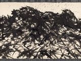 une image représentant une peinture en noir et blanc sur une feuille de papier