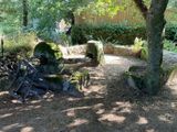un foyer au milieu d'un espace boisé