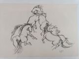 drawing of two horses fighting each other on a white background