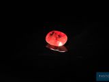a red apple that is lit up in the dark