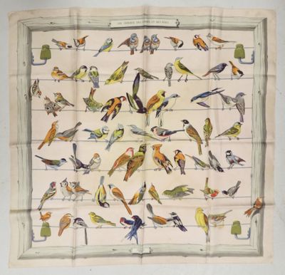 de nombreux oiseaux perchés sur un fil tendu le long du mur