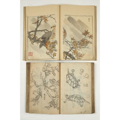 three books with drawings of birds and flowers on them