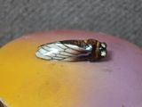 une boîte violette et jaune ornée d'une abeille, posée sur une table