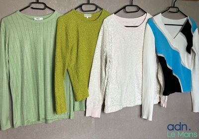 Expédition obligatoire - Lot de 8 hauts femme manches longue…