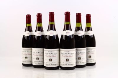 6 bouteilles de COTE DE BEAUNE Clos de Pierre Blanches 1993 …