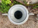 a cat that is standing next to a urn on the ground