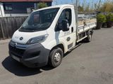 la photo d'un camion blanc garé sur un parking