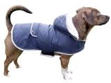 a dog that is wearing a blue jacket on a white background