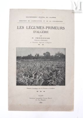 une photo en noir et blanc d'un champ où poussent de nombreuses plantes