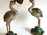 deux oiseaux qui se tiennent l'un à côté de l'autre