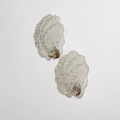 une paire de coquilles Saint-Jacques posées sur une surface blanche, sur fond blanc