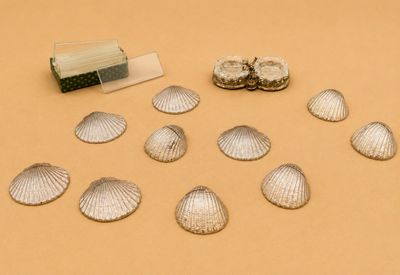 toutes ces coquillages qui sont posés sur la table