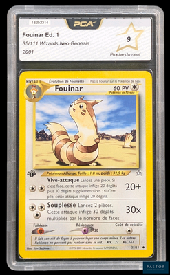 une image d'une carte Pokémon sur laquelle figure un écureuil