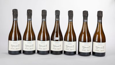 six bouteilles de vin alignées sur une table