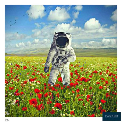 an astronaut in a field of poppies with birds flying in the background