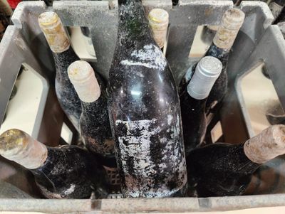 de nombreuses bouteilles de vin rangées dans un conteneur métallique