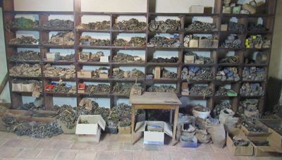 a room filled with lots of different types of rocks