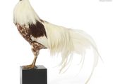 un coq blanc et marron posé sur un bloc noir