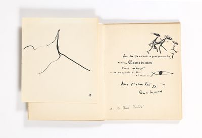 un livre ouvert sur lequel figurent les dessins d'un cheval et d'un oiseau