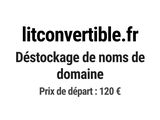 Photo 1/1 du lot