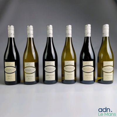 six bouteilles de vin sont alignées sur une table