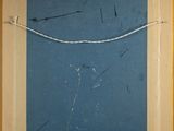 an image of a picture of a blue square with a white line on it