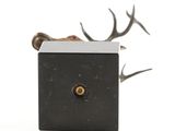 an image of a deer head with antlers sticking out of it ' s mouth