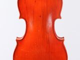 an old violin on a white background