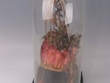 a glass dome with a ship inside of it