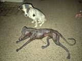 une statue représentant un chien couché par terre, à côté d'une autre statue représentant un chien
