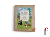 an old book with a picture of children playing in the park
