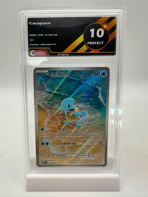 une carte à collectionner Pokémon dans un étui en plastique transparent