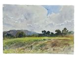 watercolor painting of a field with trees and clouds in the background