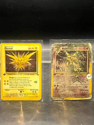 Deux cartes Pokémon sont posées l'une à côté de l'autre sur une table.