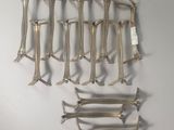Photo 3/3 du lot