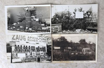 plusieurs vieilles photos en noir et blanc représentant la façade et le côté d'un immeuble