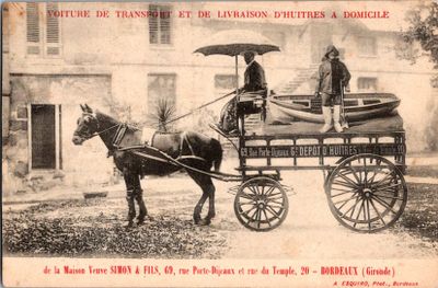 a black and white photo of a horse pulling a carriage