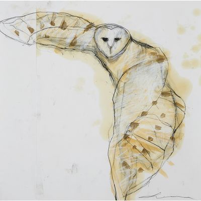 une image représentant un dessin de chouette effraie sur une feuille de papier