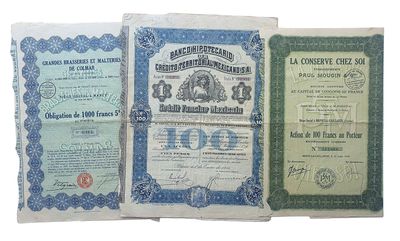 Trois types de certificats différents sont exposés sur un fond blanc
