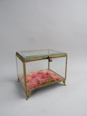 une boîte en verre contenant des fleurs, posée sur une surface blanche